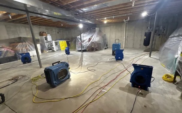 Basement Mold Cleanup in Omaha, NE