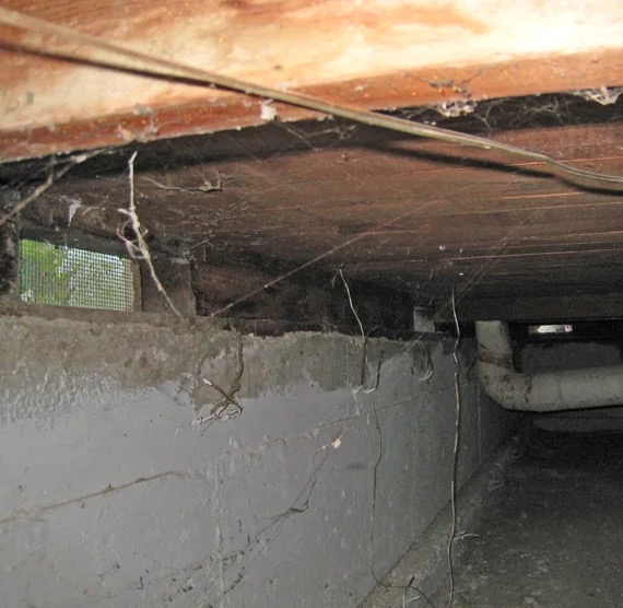 Crawl Space Water Extraction in Dundee, NE
