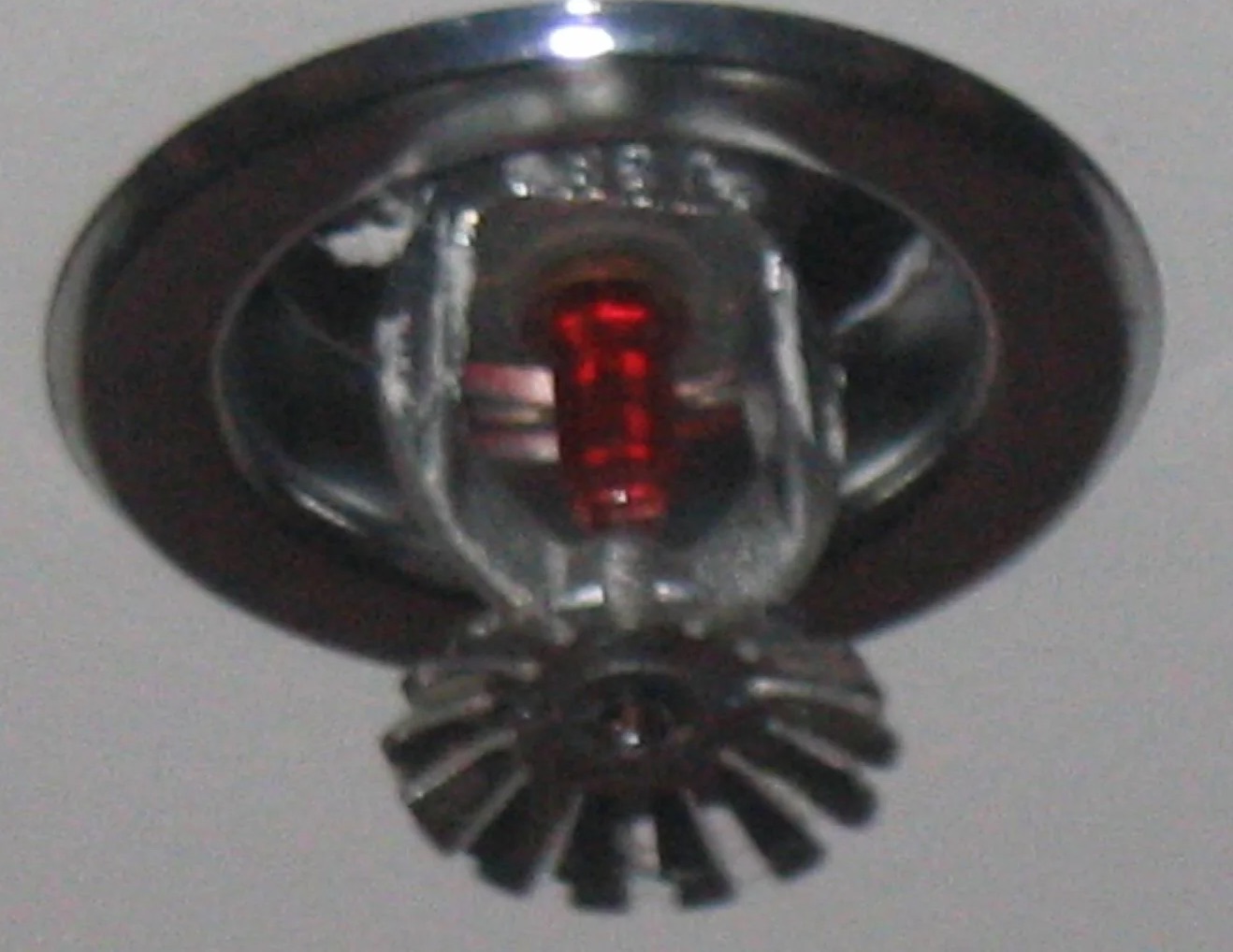 Sprinkler System Water Removal in Chalco, NE