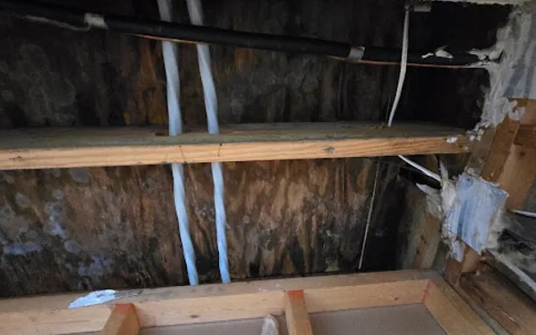 Attic Water Extraction in Chalco, NE