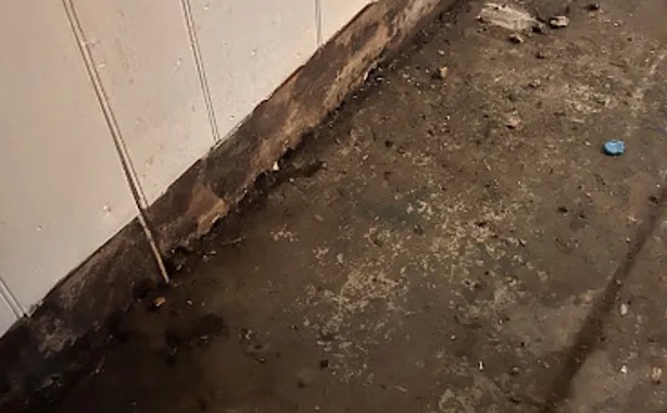Sewage Backup Cleanup in Omaha, NE